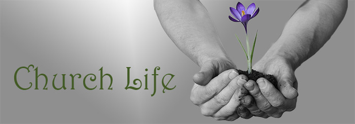 ChurchLifeSmall
